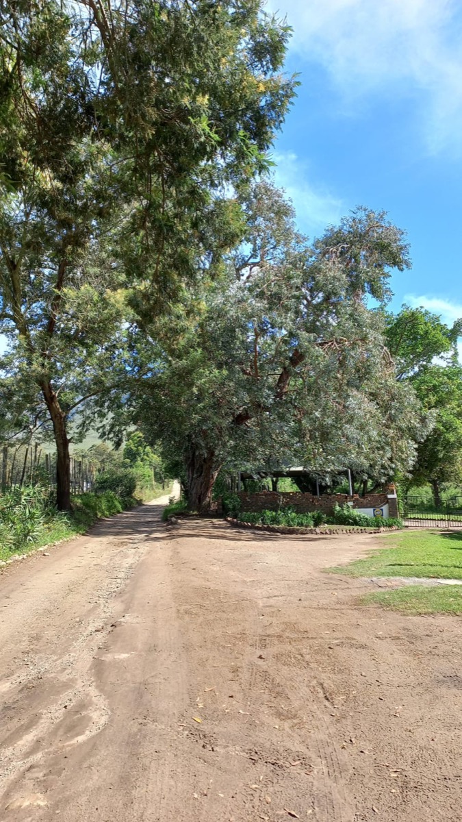 Garden picnic area at Hope Station