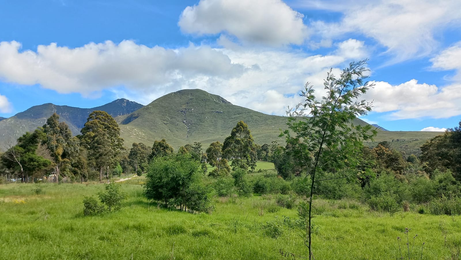 Mountain views from Hope Station entrance